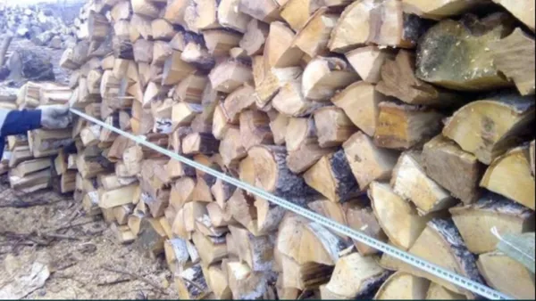 Лесхоз Полтавской области реализует с доставкой дрова колотые разных п 3