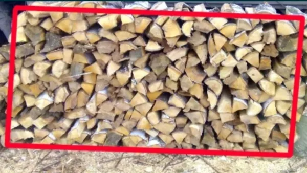 Лесхоз Полтавской области реализует с доставкой дрова колотые разных п 2