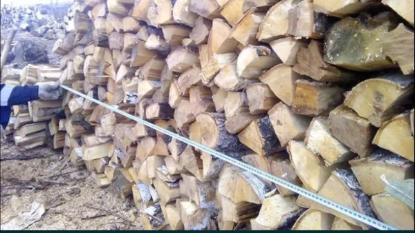 Лесхоз с Полтавской области реализует колотые дрова разных пород 5