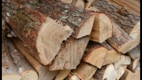 Колотые дрова разных пород от 5м3 от Лесхоза с Полтавской области 4